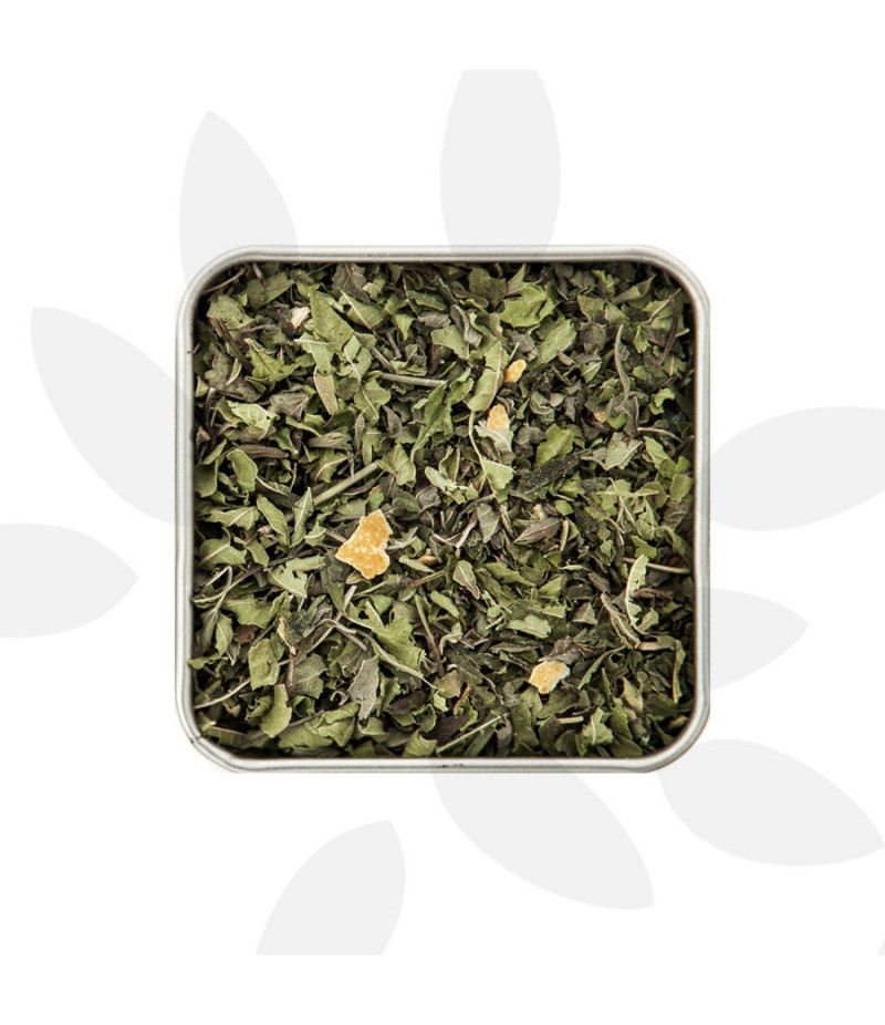 ''MELODIA'' Organic Herbal Tea